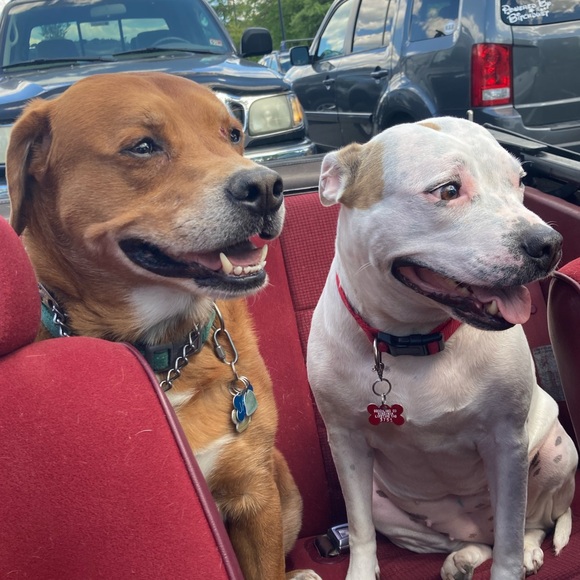 Meet your Posher, Holly - Picture 16 of 16